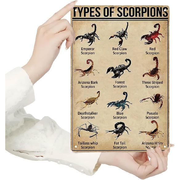 Homely Accents Types of Scorpions Metal Tin Sign, Vintage Poster for Educational Decor Gift for Scorpion Enthusiasts and Biologists, Farm Classroom
