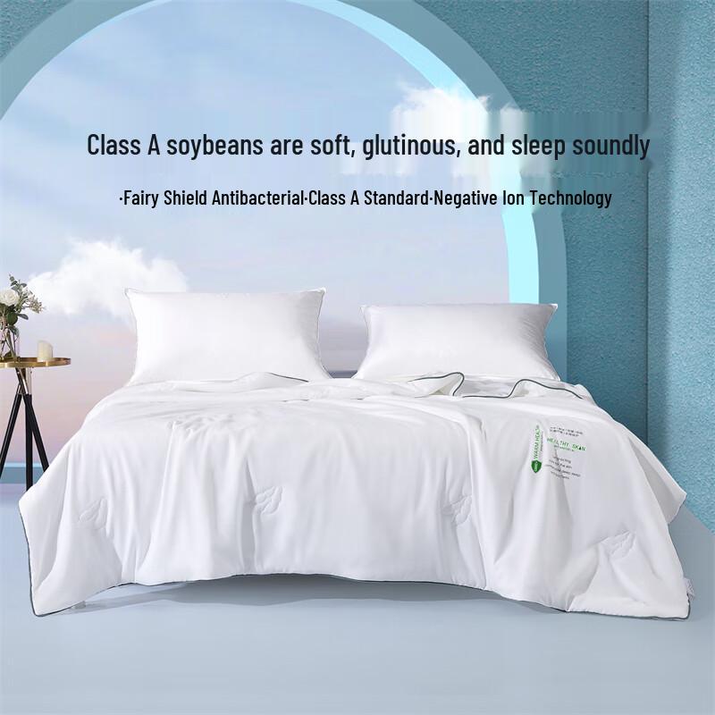 

Mercury Home Textiles Soy Fiber All-Season Quilt with Ice Silk Mat Set