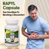 RAPYL Capsules by Rajasthan Aushdhalaya |Indication - Gas | Constipation| Alleviate Digestive |Acidity | Improve Digestion | 30 Capsules