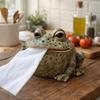 3D Model Toad Tissue Holder Funny Frog Tissue Box Lovely Toilet Paper Holder Office Desk