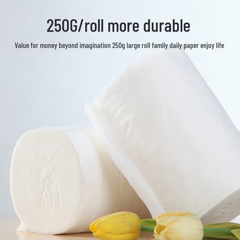 Shunqingrou International 5-Ply Coreless Toilet Paper