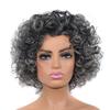 Grey Synthetic Ombre Wig for Women Big Puff Short Afro Kinky Curly Wig Cosplay Halloween Party Costume High Temperature