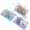 Cat Toy Imitation Plush Mouse 3 Pack Containing Cat Mint To Amuse Cat