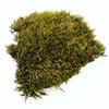 BioClumb Moss Cushion moss, tufts 100g