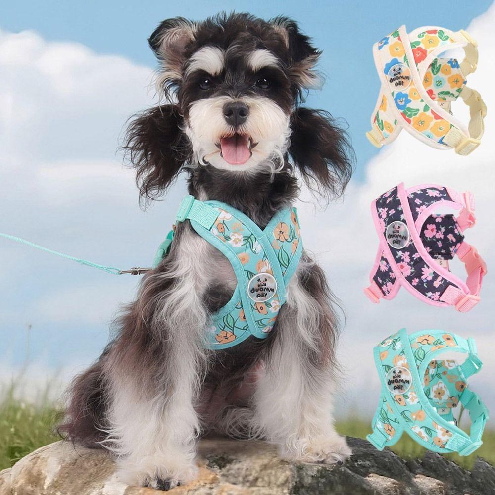 Verstellbares X-förmiges Hundegeschirr Weste Ausbruchsicheres Hundegeschirr und Leinen-Set für kleine und mittelgroße Hunde