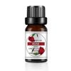 Parfumerie – Uleiuri esențiale