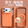Applicable To iPhone11ProMax Solid-state Silicone Magnetic Mobile Phone Case Apple 11 Official Skin-friendly Feel Protective Case