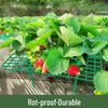 Strawberry Plant Support Frame
