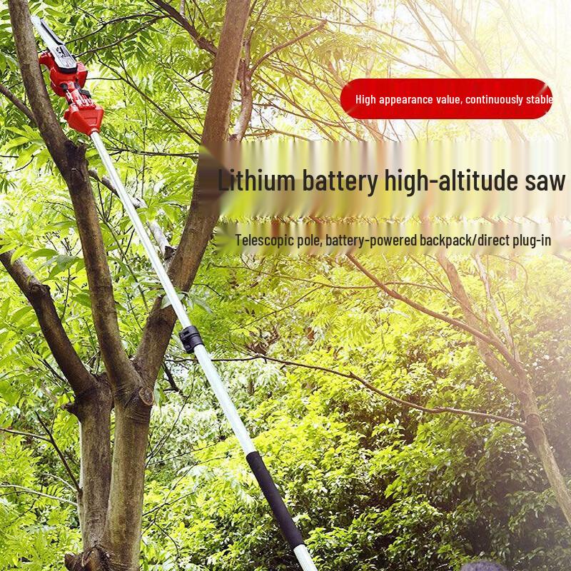 Qinyan 24V 8-inch Cordless Electric High Branch Pruning Saw CN plug (adapter included)