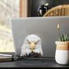 Weißkopfseeadler Vinyl-Aufkleber Perfekt für Auto-Fenster Kratzfeste Auto-Aufkleber für Schubladen Fenster-Tassen Laptops Wände