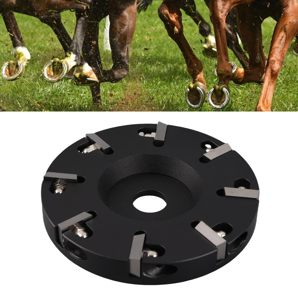 Professional Steel 8 Teeth Cattle Hoof Plate for Livestock, Sheep, Cattle, Horse, for Cow Hooves