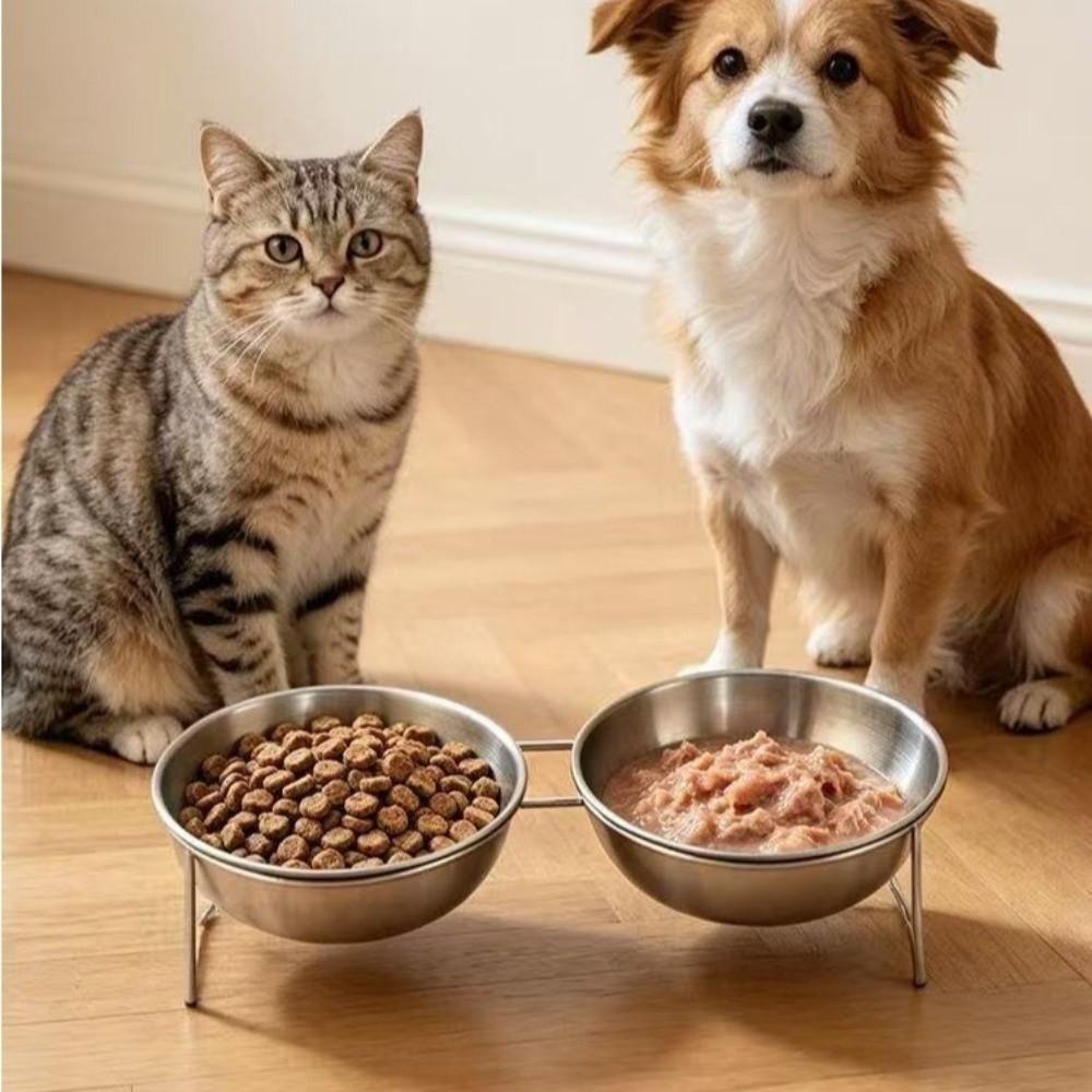 Large Capacity Stainless Steel Cat Bowl Anti-Tipping Double Water Bowls  for Kitten