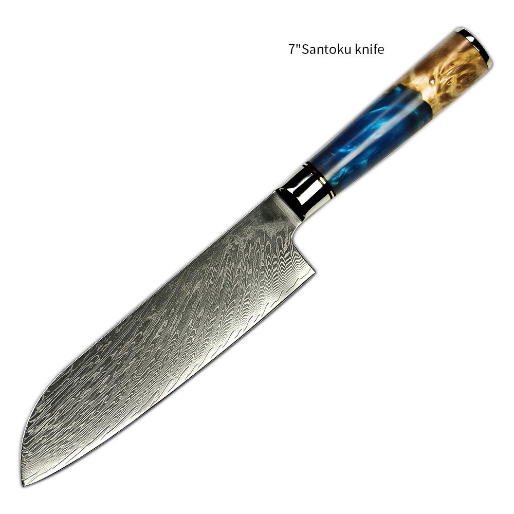 Amber Hot Selling 67-Layer Damascus Steel Kitchen Chef Knife Set Super Sharp Blade 10Cr15CoMoV Core with Resin & Wood Handle