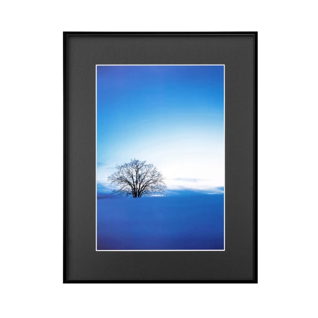 HAKUBA Lightweight Picture Frame ZERO Frame A3 Black G-01 FZG01-A3BK