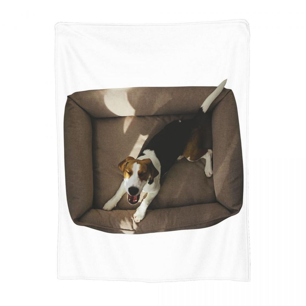 Happy Couch Dog Cute Beagle Blanket Soft Warm Flannel Throw Blanket Bedding for Bed Living room Picnic Travel Home Couch