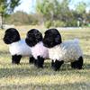 Jucărie Oaie de Pluș Păpușă Animal Umplută cu Bumbac PP Pentru Copii și Fete