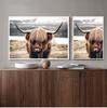 Highland Cow Wild Animals Canvas Painting Cattle Posters and Print Nordic Scandinavian Cuadros Wall Art Picture for Living Room No Frame