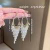 New Fashionable Design Earrings, Simple and Shiny Temperament, Long Fringed Earrings, Light Luxury High-end Earrings