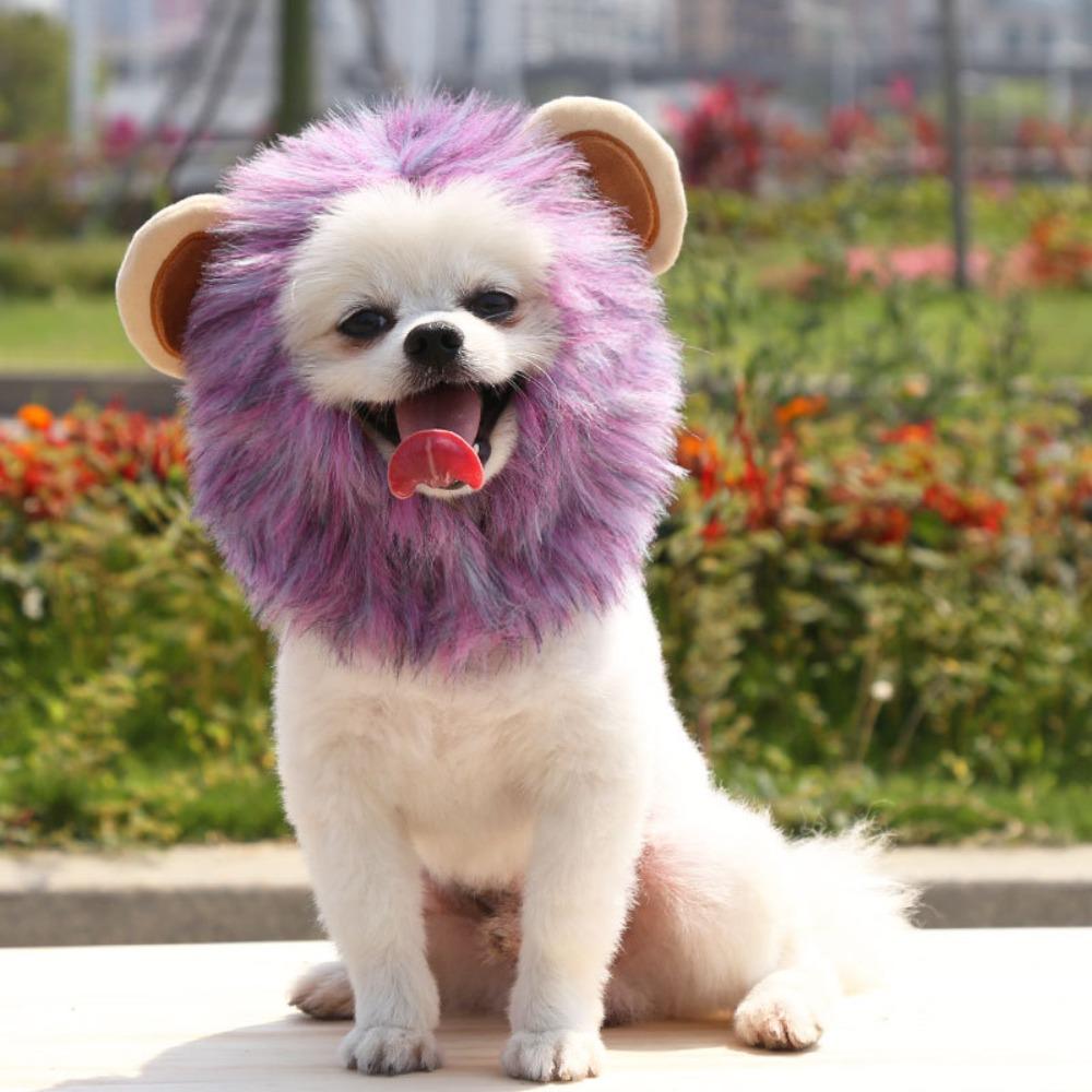 Halloween Lion Mane Hat, Adjustable Pet Costume Cap for Small Medium Large Pets, Funny Animal Cute Cat Dog Costume Accessory