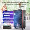Malone Portable Heavy Bass Karaoke Trolley Speaker CN plug (adapter included) (CN version)