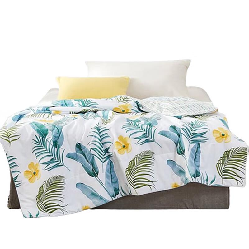 

Mengjie All-Season Washable Antibacterial Quilt