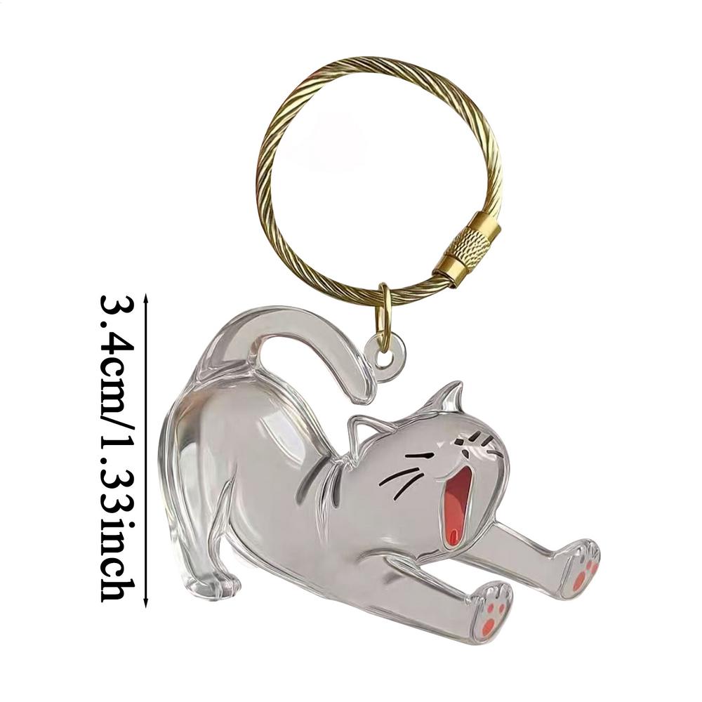 Cute Cat Key Chain Cat Dog Keepsake Hair Keyring Acrylic Pendant Clear Memorial Keychains for Collection Backpack Purse Bag