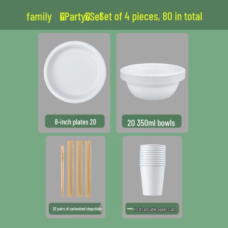 ZISIZ Disposable Tableware Set