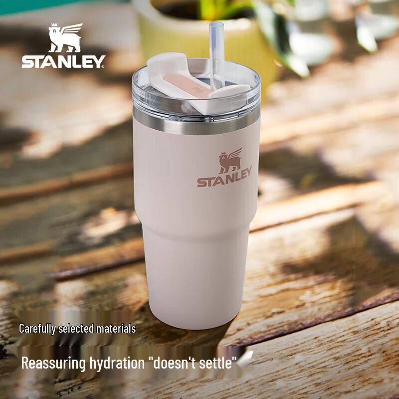 STANLEY Adventure H2.0 Stainless Steel Straw Tumbler