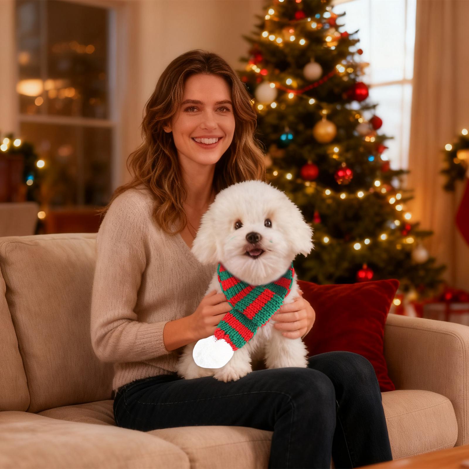 

Питомец Рождественская накидка и шляпа Праздничный набор, Наряд для преображения собаки, Рождественский костюм для маленьких собак S красный