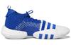 Trae Young 2 Adidas 'Royal Blue' H03839