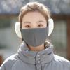 Daily Windproof 2-in-1 Mask & Earmuffs Cold-proof Ear Warmer Mouth Cover Winter Warm Winter Earmuffs Unisex
