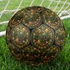 Dinosaur Fossil Glass Round Football Size 5 Adult Ball Suitable for Training Matches and Outdoor Team.