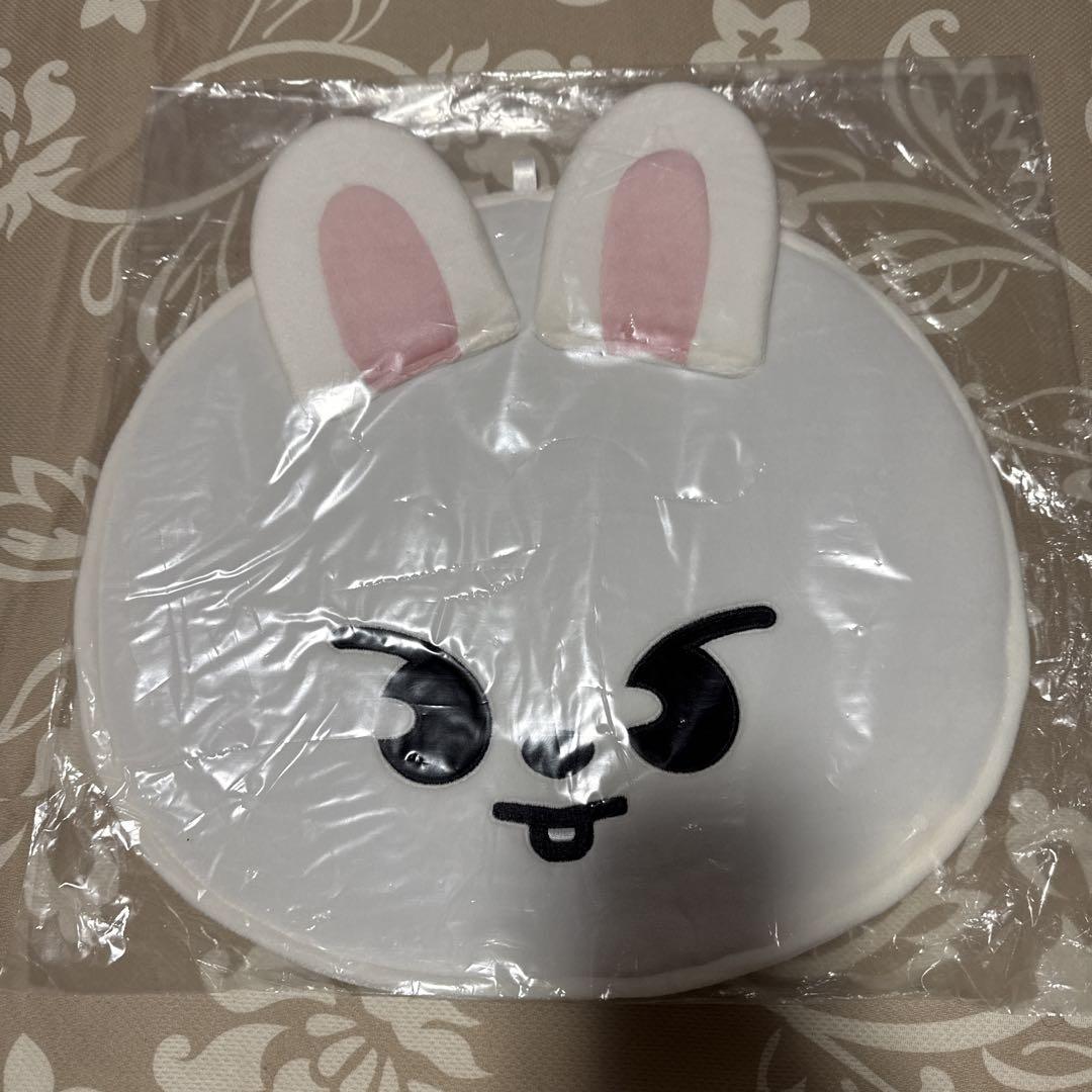 

[USED] Fan case Ribbit