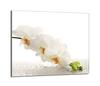 Glass Hob Protector 60x52 Orchid