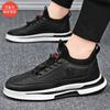 Men's Shoes Autumn Breathable Board Shoes Men's Korean Version Trendy British Sports Shoes Single Cotton Same Men's Casual Shoes