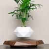 Magnetisch schwebende Topfpflanze: Kreatives Bonsai-Handwerk Geschenk für den Lehrertag & Wohnzimmer-Dekoration.
