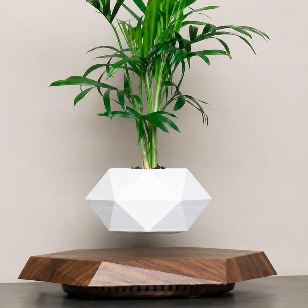 Magnetisch schwebende Topfpflanze: Kreatives Bonsai-Handwerk Geschenk für den Lehrertag & Wohnzimmer-Dekoration.