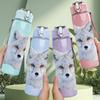 Accesorios deportivos – Botellas de agua deportivas