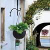 Heavy Duty Hanging Plant Brackets Iron Flower Basket Hooks Gardening Tool Plant Hangers  Indoor Use
