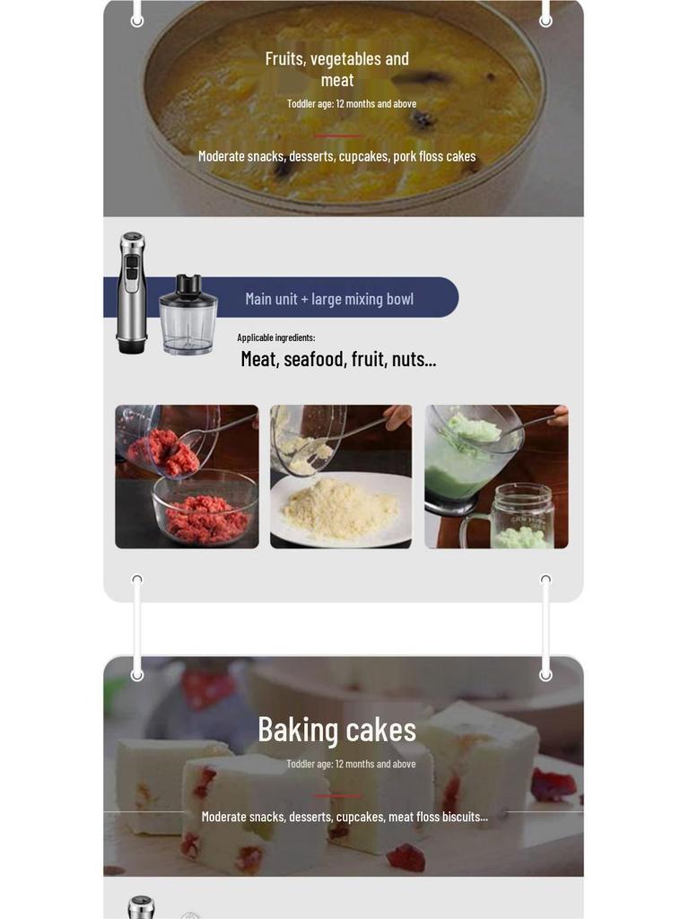 German Handheld Immersion Blender Mixer, Homogenizer for Baking, Glaze, Mousse, Commercial Multifunctional Basque.