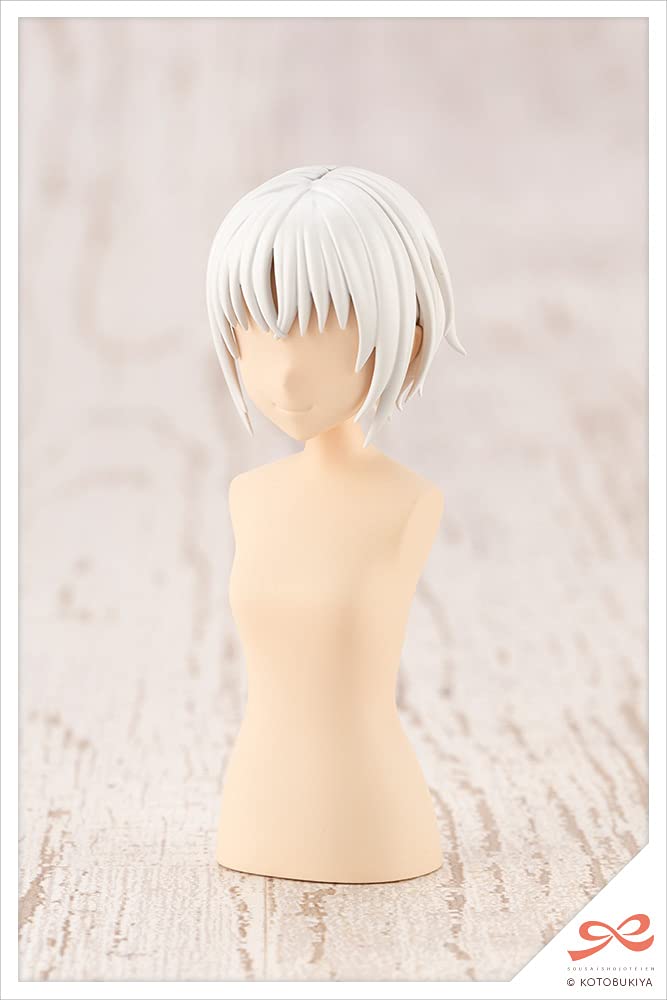 After-School 1/10 Scale Short Wig A Plastic Model Kit - White & Chocolate Brown