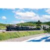 KATO HO Gauge D51 Standard Production Steam Locomotive 1-203 Multicolor Medium