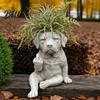 Pot de fleur décoratif d'intérieur Bouledogue Pot de fleur créatif avec un design d'attitude unique Pot de fleur accrocheur Décor de jardin Plante d'extérieur Nouveaux pots de fleurs