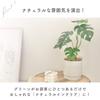 Rilmy Fake Green Tabletop Plants Monstera Artificial Flowers Artificial Plants Interior Stylish Interior Green Mini Fake 36cm Height with Pot Cover