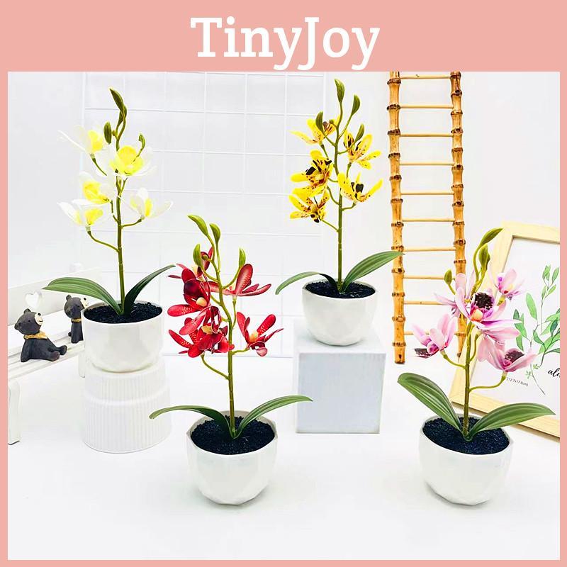 Phalaenopsis Simulated Potted Artificial Artificial Flower Desktop Ornament