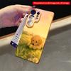 2DFlat Samsung phone case Golden Puppy Playing with Ball at Sunset Applicable to Galaxy S23 S24 S25ULTRA S26 A12 A14 A15 A16 A54 A55
