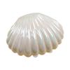 10pcs Small Cute Plastic Candy Boxes Shell Seashell Party Decor MakeUp Jewelry Storage Boxes Cute Wedding Favor Box