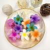 Flower Glossy Point Hair Clip