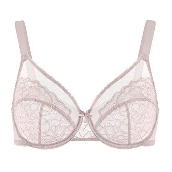 French Sexy Ultra-thin Lace Mesh Bra Women's Plus Size Underwear