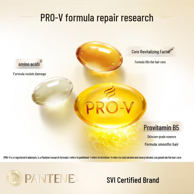Pantene Amino Acid Repair Shampoo Set